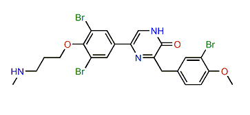 Maedamine B